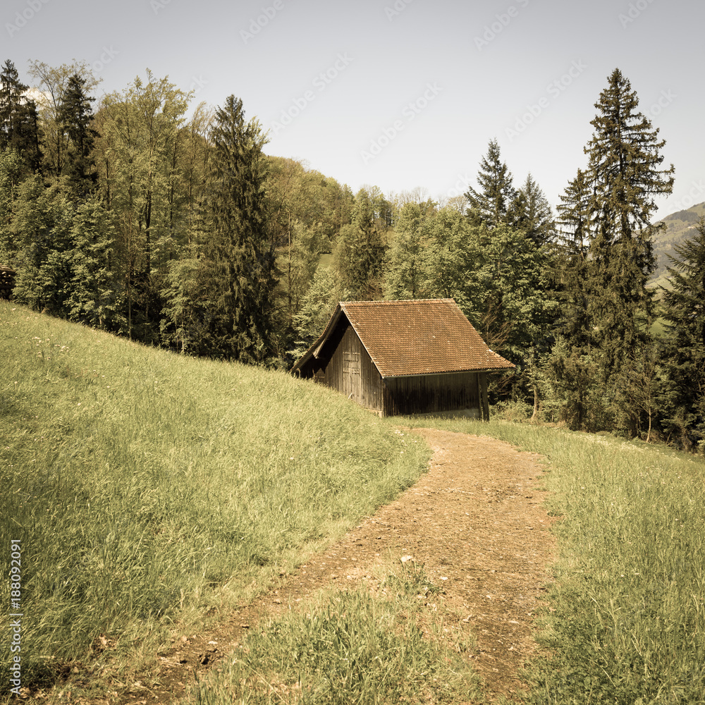 Obraz premium Retro rural landscape. Retro rural pastoral in the mountains of Switzerland. A house with a red roof on a green grass meadow.
