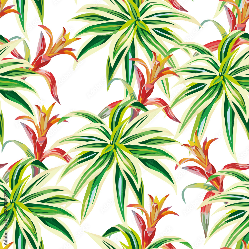 Tropical plants seamless white background