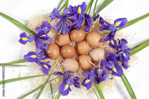 Fototapeta Naklejka Na Ścianę i Meble -  Holiday greeting card for Valentine's Day, Woman's Day, Mother's Day, Easter! Wild, purple irises and a basket with easter eggs on wooden table in the outdoors close-up.