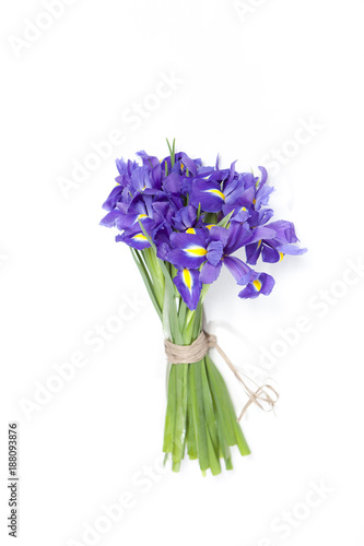 Fototapeta Naklejka Na Ścianę i Meble -  the Violet Irises xiphium (Bulbous iris, sibirica) on white background with space for text. Top view, flat lay. Holiday greeting card for Valentine's Day, Woman's Day, Mother's Day, Easter!