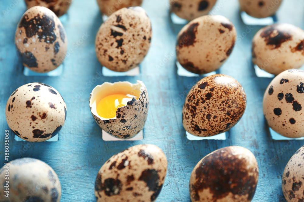 Quail eggs on wooden stand Quail eggs on wooden stand