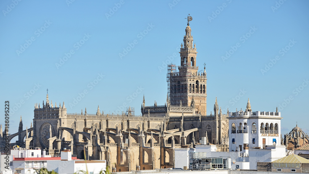 Fototapeta premium Seville Cathedral, Spain