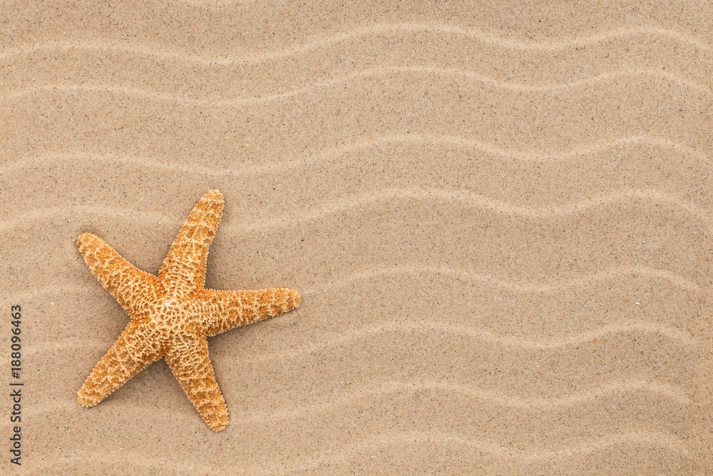 Summer wallpaper. Starfish on sand, beach background. Summer wallpaper. Starfish on sand, beach background.