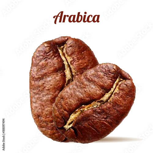 Realistic arabica coffee with shadow on white background