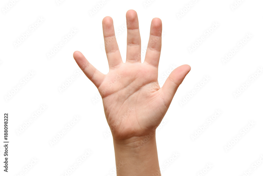 Five fingers of children hands close up isolatd on white background. Five fingers of children hands close up isolatd on white background.