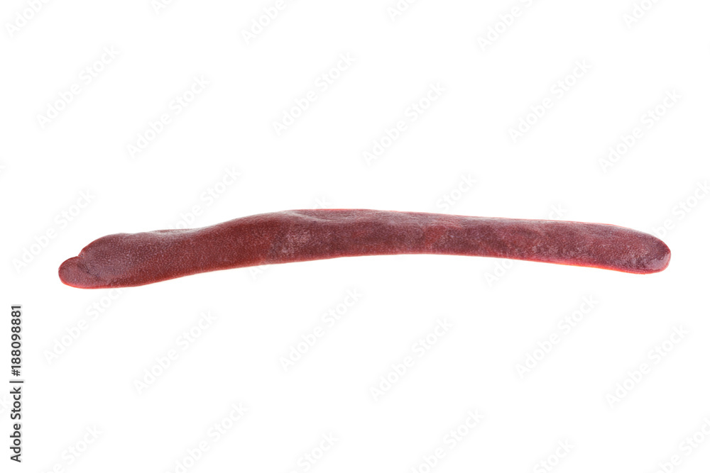 pork spleen on white background pork spleen on white background