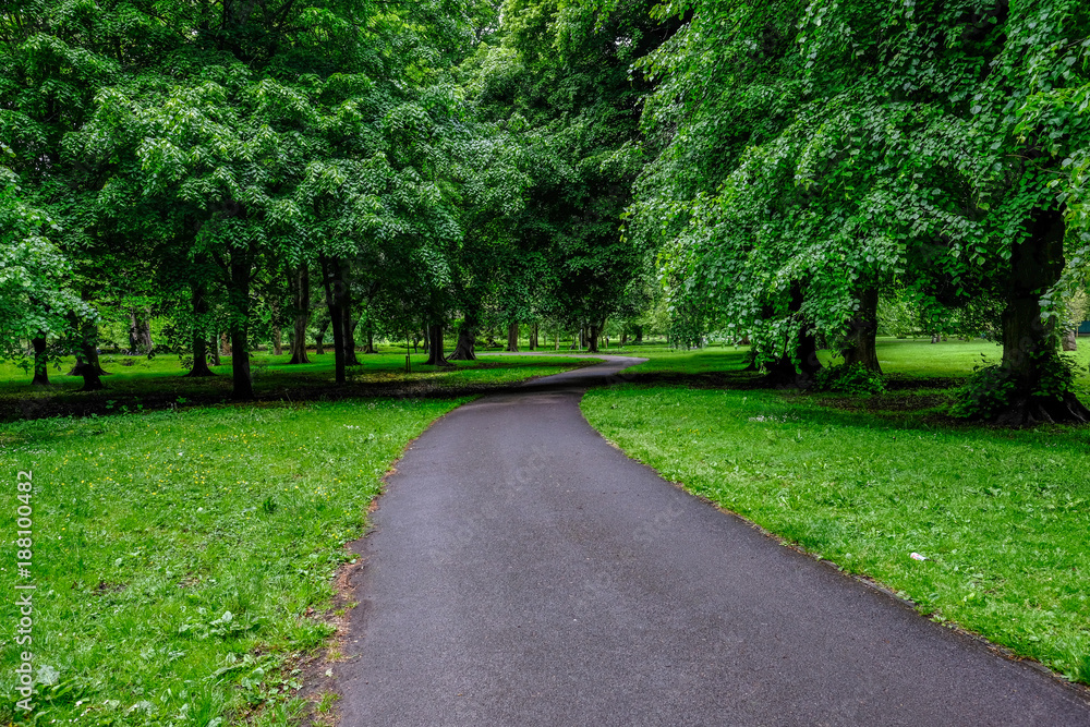 Winding path through the trees in Bute Park, Cardiff, Wales