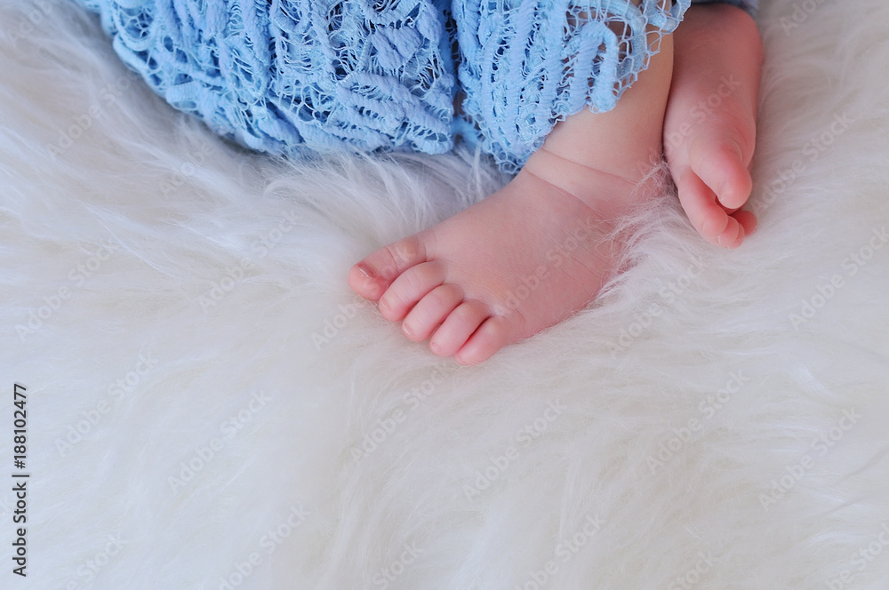 Close up of newborn baby feet Close up of newborn baby feet