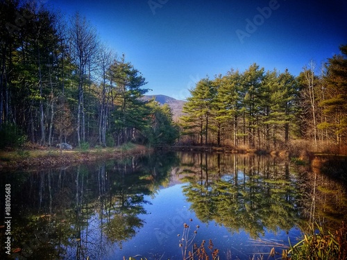 Siuslaw Pond Reflection
