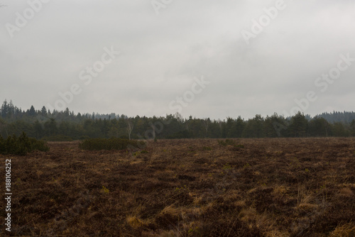 Schönramer Moor im Winter