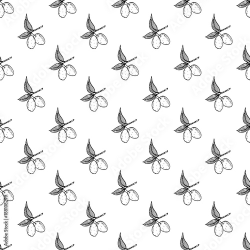 Olive branch seamless pattern. Natural background Design with olives for olive oil or cosmetics products, vector illustration