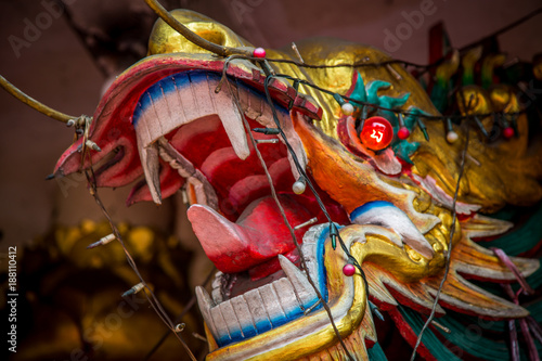 Photography Dragon