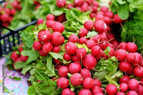 Bunches of fresh radish sold on farmer's market