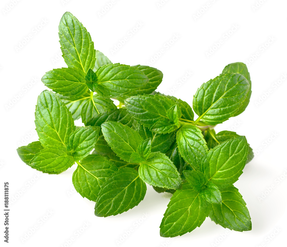 Peppermint leaves isolated on white Peppermint leaves isolated on white