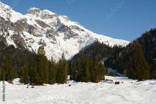 Winter landscape at early morning in Austria with snow, wooden buildings, blue sky and copy space. © Alena
