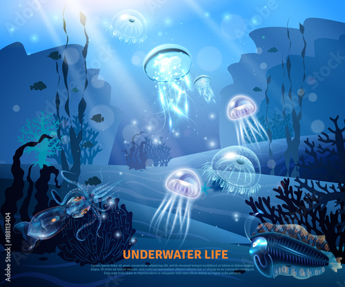 Underwater Life Background Light Poster