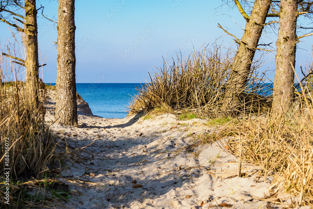 Strand an der Ostseeküste bei Graal Müritz Strand an der Ostseeküste bei Graal Müritz