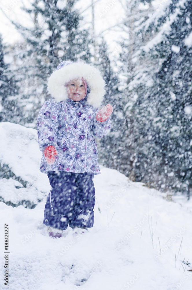 Walk in the winter park. Walk in the winter park.