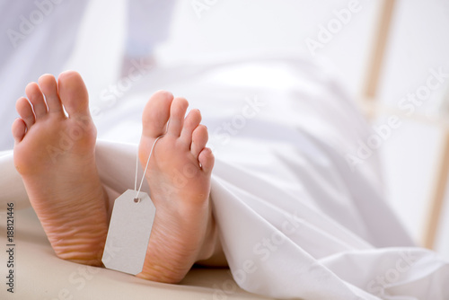 Obraz na plátne Police coroner examining dead body corpse in morgue