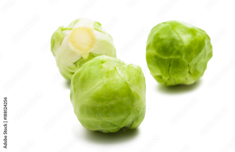 brussels sprouts isolated brussels sprouts isolated