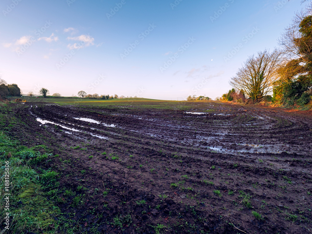 Fototapeta premium winter countryside morning,Northern Ireland