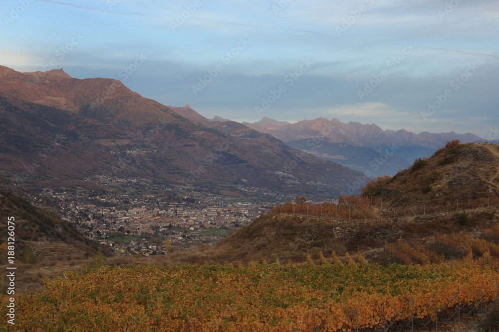 vignes de la Vallée d'Aoste vignes de la Vallée d'Aoste