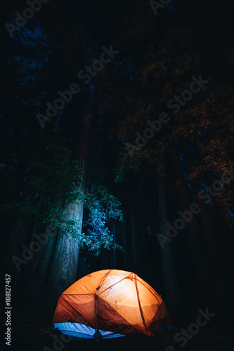 Night camping © Neza P