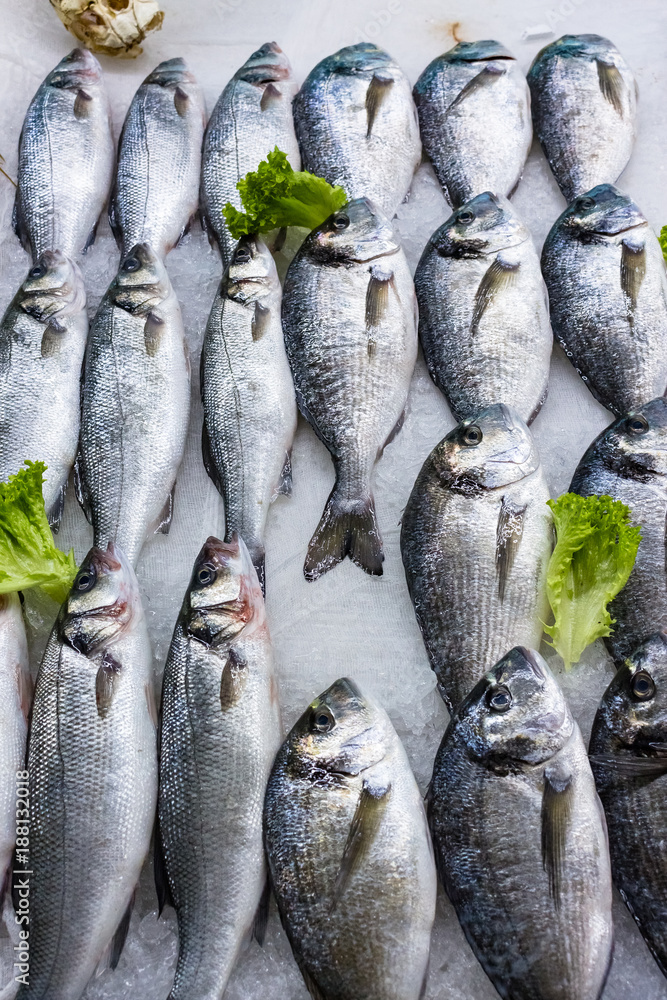 Fototapeta premium fresh russian fish 6