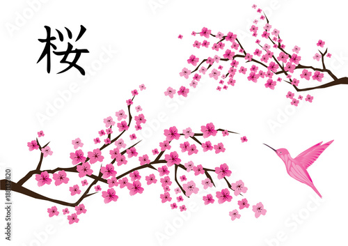 Vector Cherry Blossom