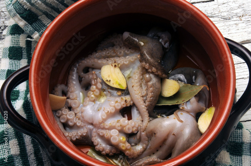 Octopus vulgaris რვაფეხა Meritursas