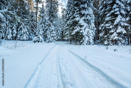 Road through winter mountain forest © Yakov