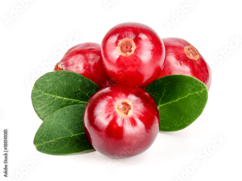 Cranberry with leaf isolated on white background closeup macro