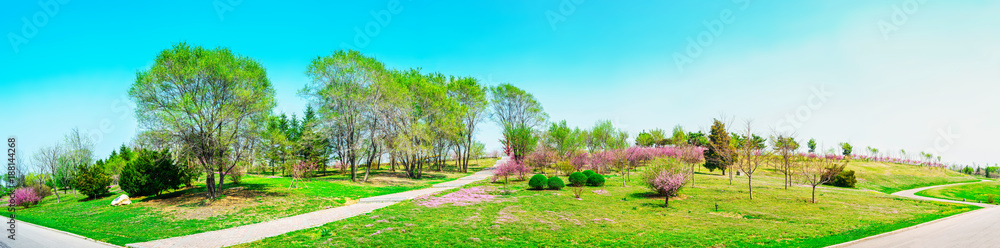 Park in early spring. Located in Shenyang Botanical Garden, Shenyang, Liaoning, China. Park in early spring. Located in Shenyang Botanical Garden, Shenyang, Liaoning, China.