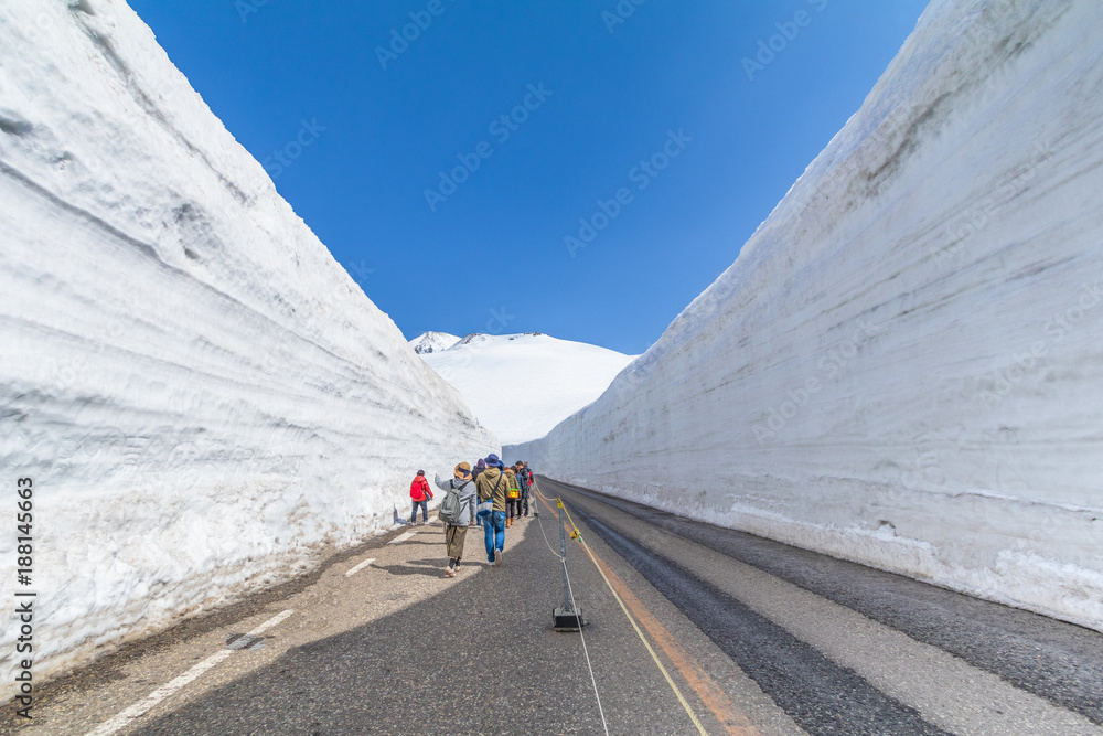  The road between snow wall of  Tateyama Kurobe Alpine Route or Japanese Alps with blue sky  background is  one of the most important and popular natural place in Toyama Prefecture, Japan.