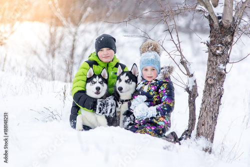 children brother and sister playing with the husky pups in the park in the winter in the snow.
