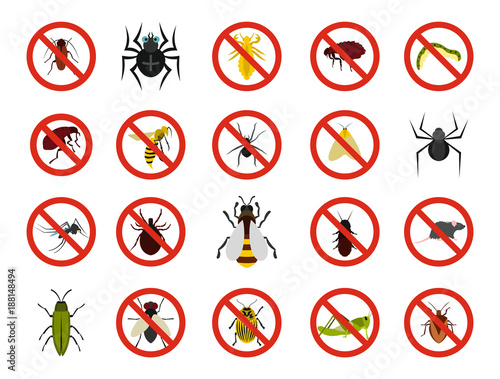 Insects icon set, flat style