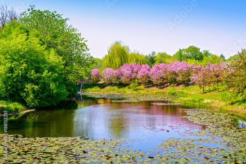 Park in early spring. Located in Shenyang Botanical Garden, Shenyang, Liaoning, China.
