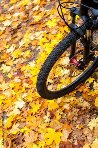Wheel of a tourist bicycle against a background of autumn foliage © nidvoray