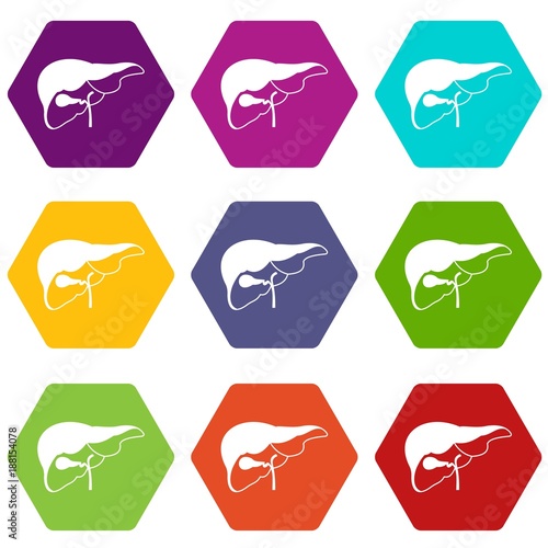 Liver icon set color hexahedron