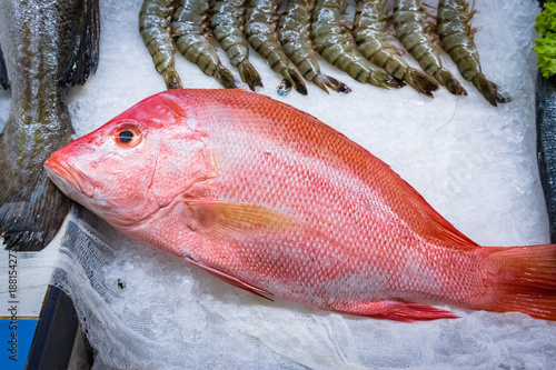 fresh red snapper 1