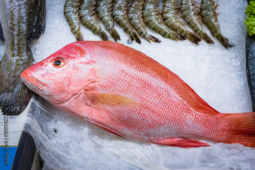 Slika na platnu fresh red snapper 1