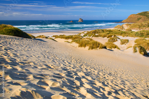 Inviting Beach and dunes photo