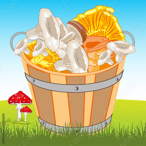 Pail with mushroom