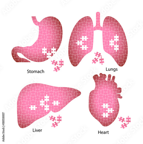 Icons of the internal organs of man from puzzles symbolizing the disease.