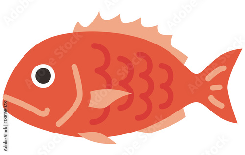 鯛