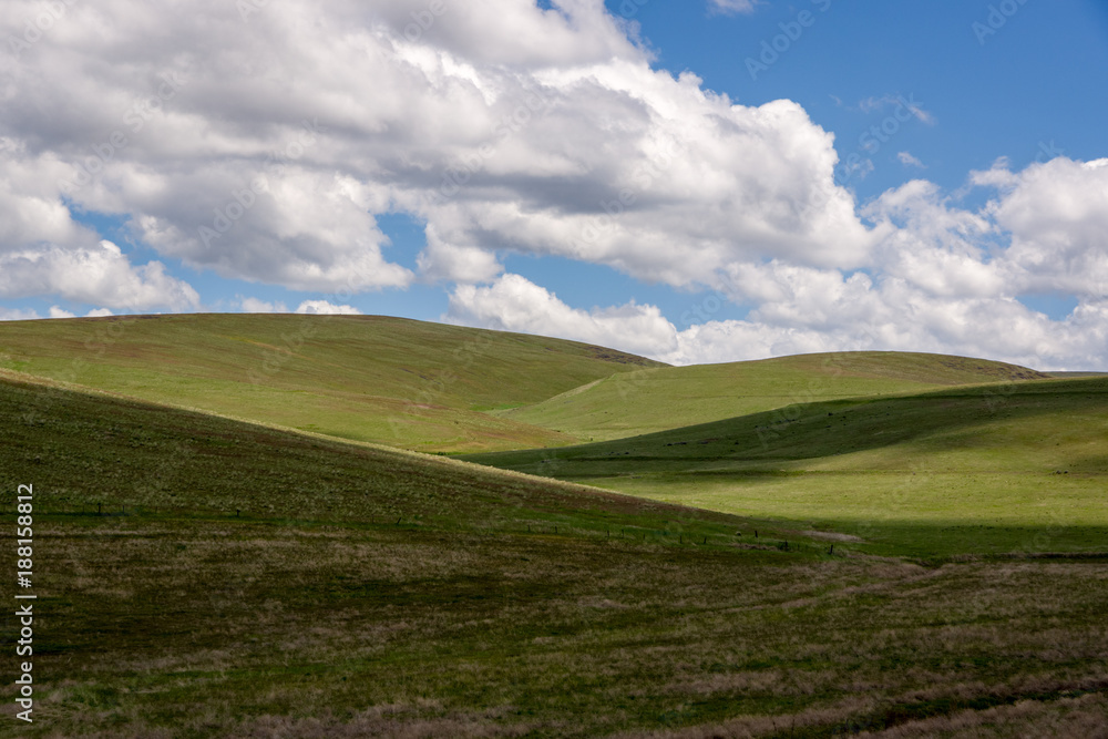 Condon Hills Condon Hills