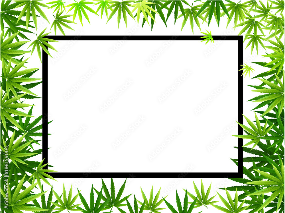 Frame formed with hemp (marijuana) leaves isolated on white. Frame formed with hemp (marijuana) leaves isolated on white.