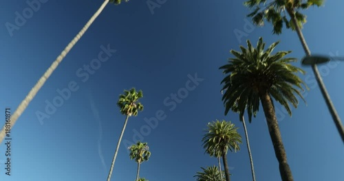 Drive down a palm tree lined street in sunny Hollywood California USA