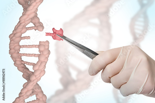 Genetic engineering and gene manipulation concept