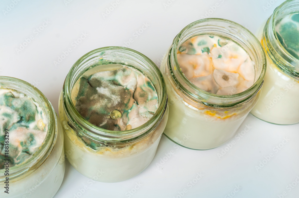 Yogurt with mold in glass container in laboratory Yogurt with mold in glass container in laboratory